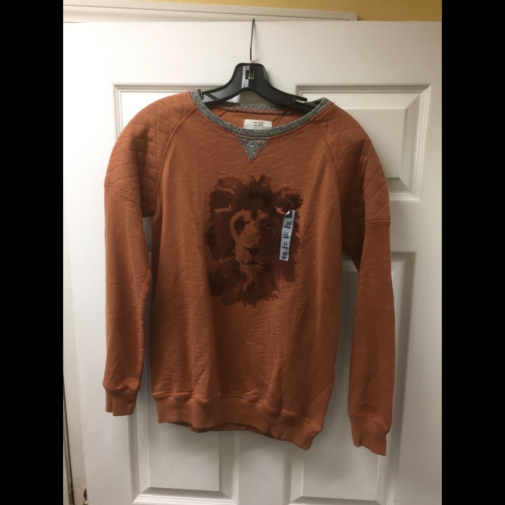 ZARA Boys/Girls Lion Sweatshirt 13/14